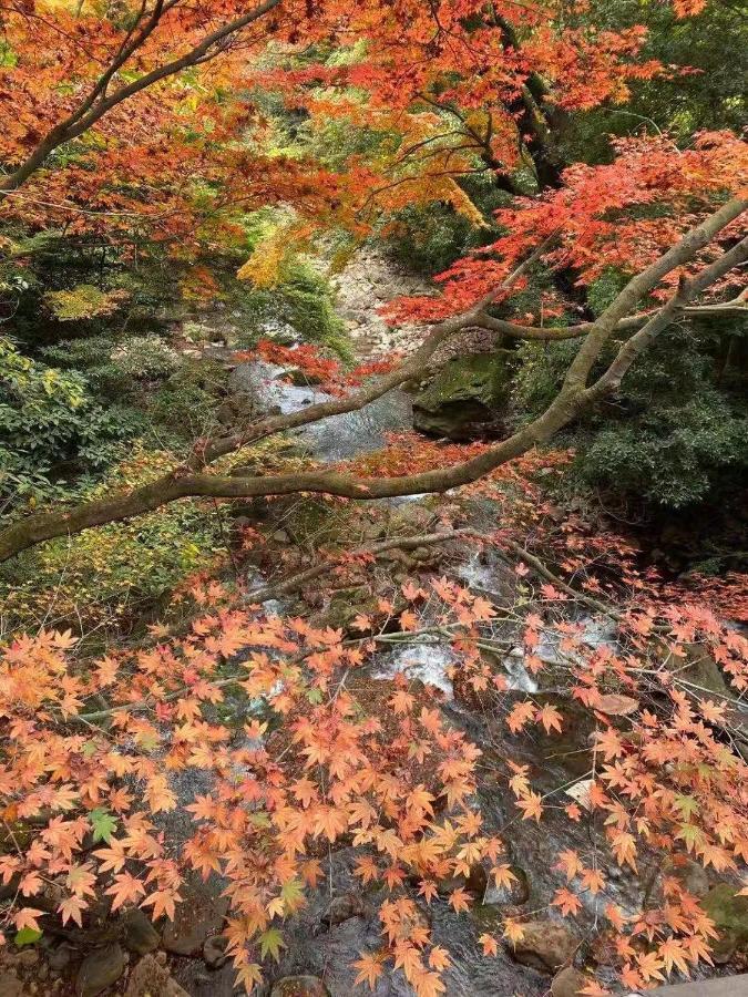 Hoshi No Sato Hotel Kirishima Buitenkant foto
