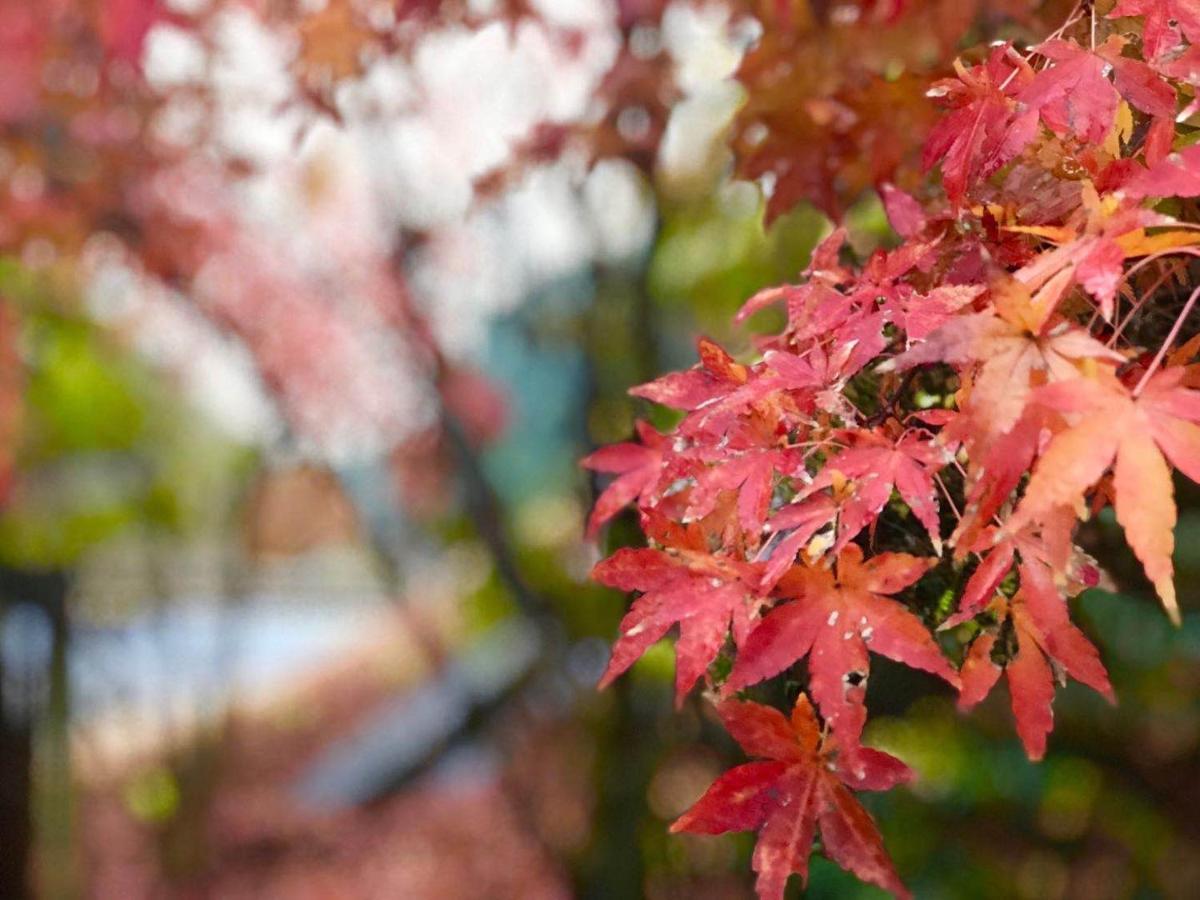 Hoshi No Sato Hotel Kirishima Buitenkant foto